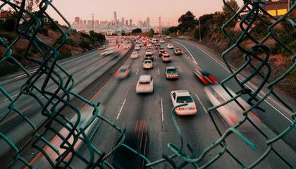 《园艺养成指南：狩猎丰收活动全新种子全收录》